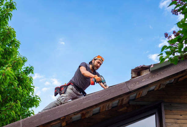 Best Asphalt Shingle Roofing  in Bradenton, FL